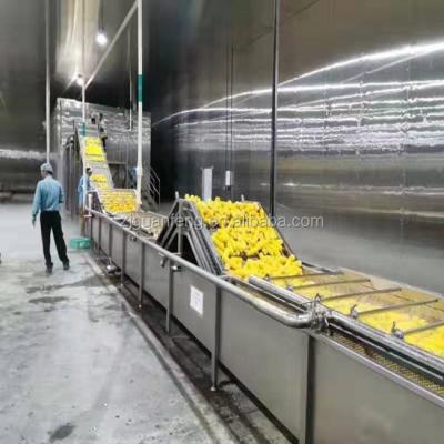 China Hot Frozen Corn Cob Production Frozen Machinery Factory Sale IQF Processing Line Equipment for sale