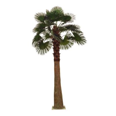 China Heavy Duty Outdoor High Wind Wind Resistant Plastic Palm Trees 5M Plastic Artificial Palm Tree For Outdoor Garden Decor for sale