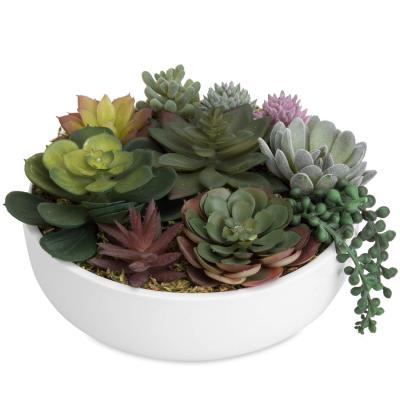 China Eco-friendly Modern Artificial Plants Arrangement 8-Inch Matching Artificial Succulent With White Round Ceramic Planter Pot for sale