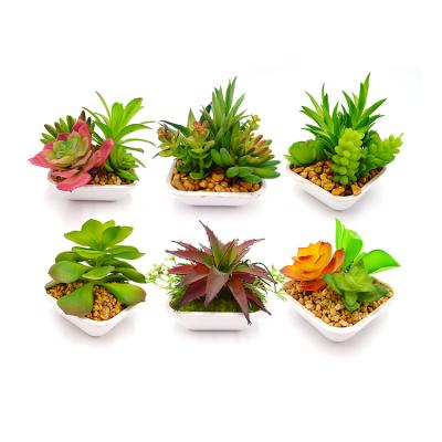 China Eco-friendly Fake Assorted Succulent Live Artificial Plants Simulated Mini Succulents With Pots 9*9*10cm for sale