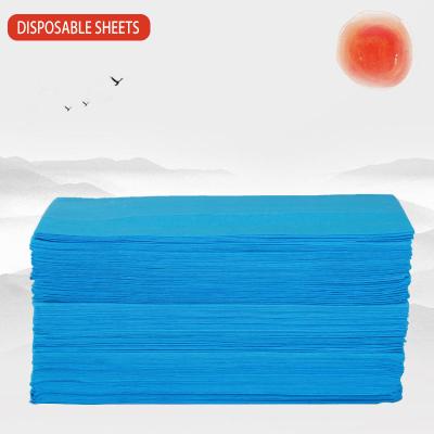 China New Products 150*200cm Polyester White Disposable Blue Disposable Massage Sheets 100% Disposable Bed Sheet for sale