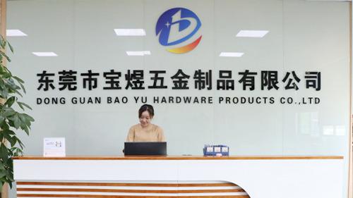 Verified China supplier - Dongguan Baoyu Hardware Products Co., Ltd.