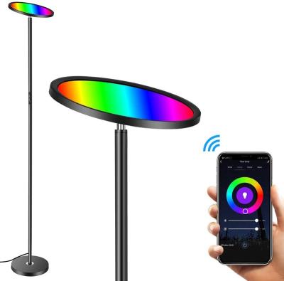 China Modern Luxury Standing Living Room RGBW Smart WiFi Feather Sunset Stand RGB Floor Lamp for sale