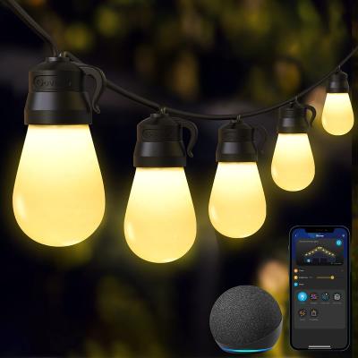 China Garden Christmas Patio LED Light Bulbs 48ft Wi-Fi App Control 15 Dimmable Waterproof Shatterproof Smart Indoor String Lights with Alexa for sale