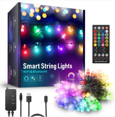 China Modern USB Charge RGBW Dimmable Voice WIFI Control Smart Led Fairy Lights for sale