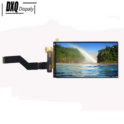 China DXQ 6 inch TFT IPS LCD display modules with 2560*1440 pixel 450 nits MIPI interface HD 2K TFT LCD 6 inch display screen panel for sale