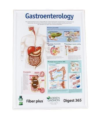 China Custom white medical 3d chart from pp china professional manufacture pp for sale