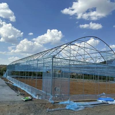 China Arch Type Plastic Agriculture Greenhouse for Tomato/Cucumber Strawberry with Hydroponics Growing System for sale