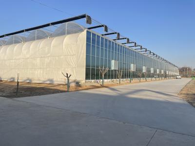 China Commercial Greenhouse PE Film Plastic Agriculture Greenhouse for USA/Canada/Australia for sale