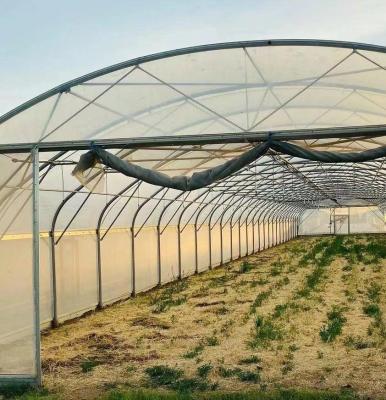 China Estufas de luz solar para plantação de capsicum Método avançado de cultivo de vegetais à venda