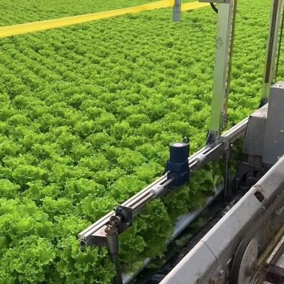 China Agricultural Multi Span Greenhouse Plastic Film Hydroponics Vertical Farming System for sale