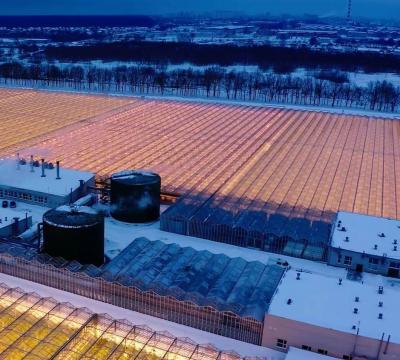 China Aanpassing sneeuw vibrator kas voor tomaten planten Vraag uw aanpassing Te koop