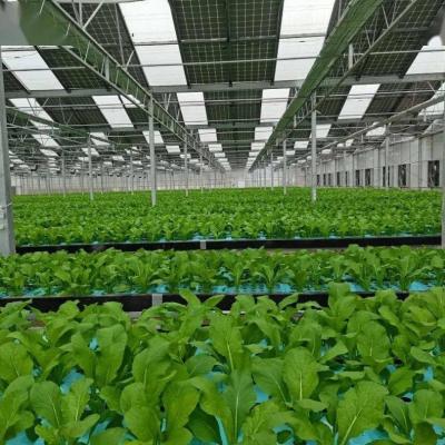 China Multi-Span Arch Type PE/Po Plastic Film Photovoltaic Solar Greenhouse voor prestaties Te koop