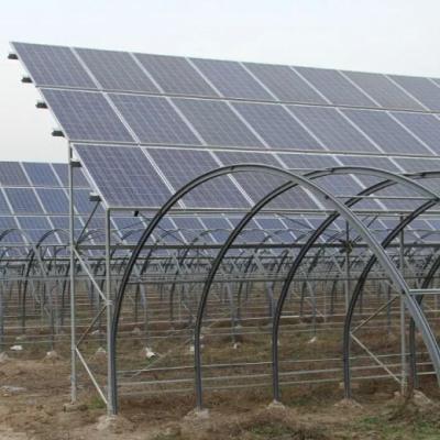 China Conservación de calor de efecto invernadero con almacenamiento de gran capacidad y paneles fotovoltaicos en venta