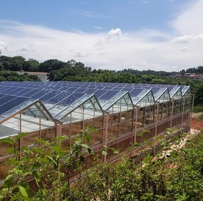 China 30 días devolución reembolsos doble capa PE/Po película de plástico invernadero solar fotovoltaico en venta