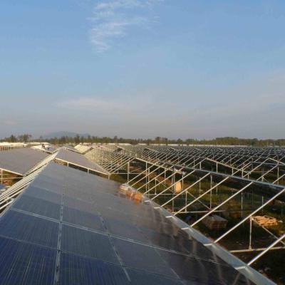 China Invernaderos fotovoltaicos de ventilación hidropónica 6/9 y 6/12 metros para la producción de cultivos en venta