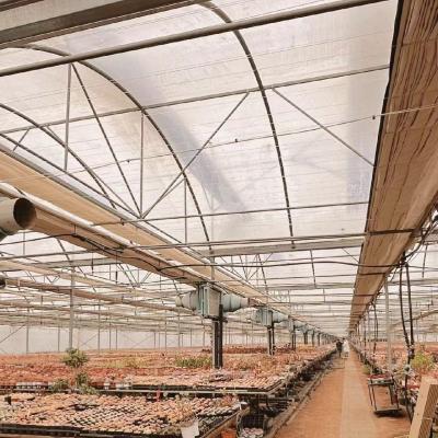 China Invernadero de producción de vegetales Po Film con sistema de tuberías de agua y bajo costo de envío en venta