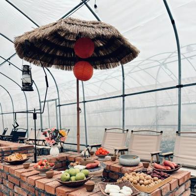 China Estructura de acero Invernadero de sombra de gran tamaño para hidroponía de cultivo en venta