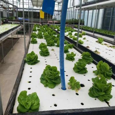 China Suitable Seedling Cultivation Budget-Friendly Film Greenhouse with Plastic Sheet Cover for sale