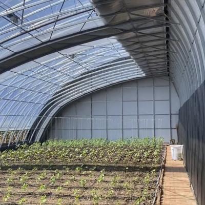 China Commercial Aquaponics Greenhouse for Sunlight Sparay Irrigation Vegetable Production for sale