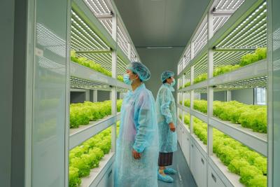 China Sistema de iluminación de la agricultura de contenedores con tiempo de entrega estimado y bajo costo de envío en venta