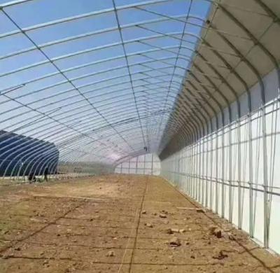 China Irrigation and Ventilation System for Shading Cucumber Planting in Sunlight Greenhouse for sale