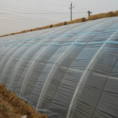 China Aanvankelijke betaling Commerciële tomatenplant Zonnelicht kasoplossing Begin nu Te koop