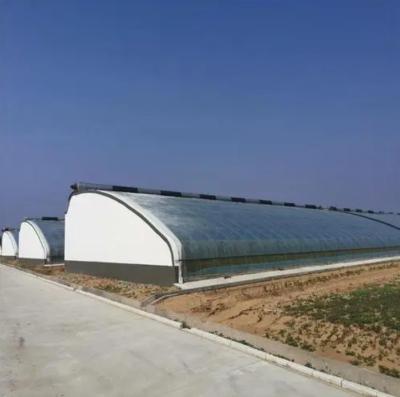 China Juxiang Irrigação Automática Estufas de luz solar para vegetais Ventilação e sombreamento à venda