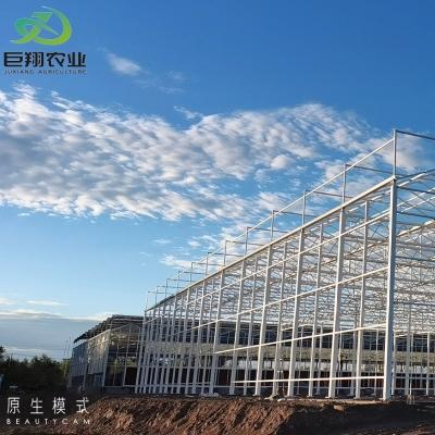 China Double Layer Modern Multi-Span High Tunnel Glass Hydroponic Greenhouse for Agriculture for sale