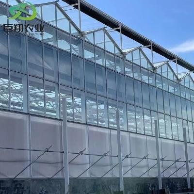 China Vegetables Farm Glass Green House with Eaves Height 3m-8m Optimal Growing Conditions for sale