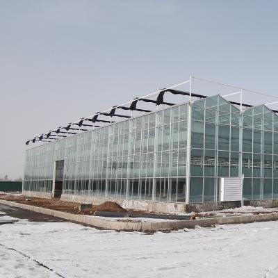 Chine US 40/échantillons par pièce PC Side/Poly House et PE Roof Greenhouse pour la culture des légumes à vendre