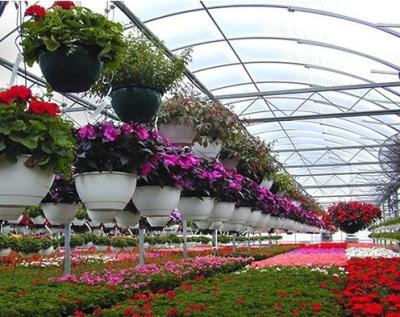 China Multi-Span Single-Pan Hydroponic Tomato Cultivation Greenhouse for Aquaculture Market for sale