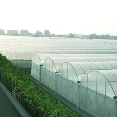 China Invernadero de película de doble capa para cultivo sin suelo Tomate Pepinillo Cultivo de flores en venta