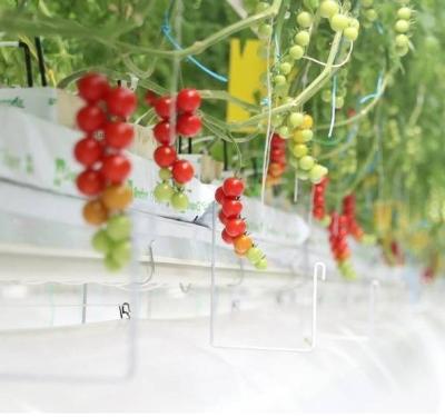 China Anti-Drip Fogging Hydroponic System Suitable for Overwintering Poultry and Livestock for sale