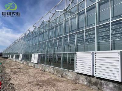 China Temperature-Controlled Planting Facility by Juxiang and Affordable Planting Solution for sale