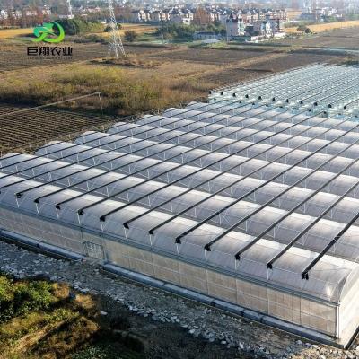 China Continuous Heating Aquaculture Greenhouse for Tomato Hydroponic Growing Solution for sale