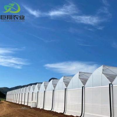 China 3m-8m Eaves Height Multi-Span Venlo Glass Greenhouse with Hydroponic Growing System for sale