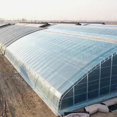 China Steel-Plastic Double Arch Beam Greenhouse with Snow Vibrator Arched Roof Heavy Snow Area for sale