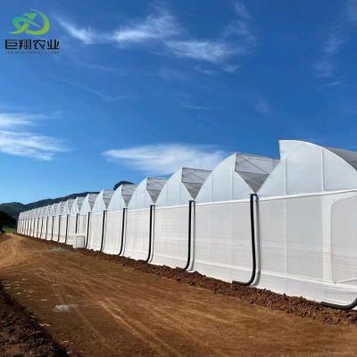 China Double Arch Beam Sunlight Greenhouse for Heavy Snow Area Featuring Snow Vibrator for sale