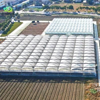 Cina Metodo di riscaldamento continuo e coltivazione in galleria Serra agricola a pellicola di plastica in vendita