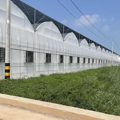 China Op maat gemaakte aanvraag Landbouwproductie met meerdere spanningen Plastic Tunnel Film Te koop