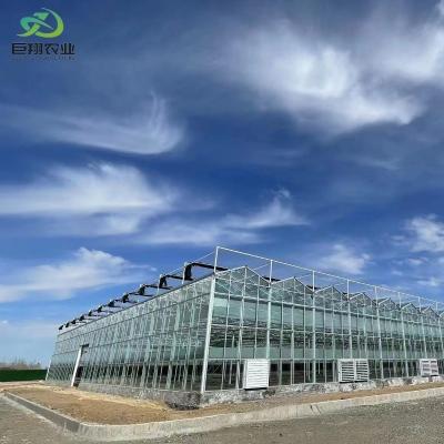 China Customized Multi-Span Arch Type Film Agricultural Greenhouse with Glass Cover for sale