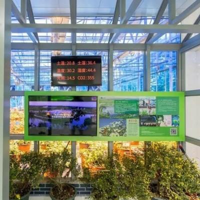 China Customized Greenhouse for Agriculture Commercial Glass/Tempering Glass/Float Glass for sale