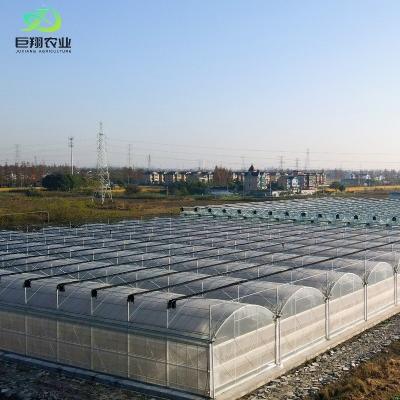 China 100% Blackout Automatic Light Deprivation Greenhouse for Canada / USA Request Sample for sale