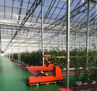 China Double Layer Vegetable Planting Greenhouse with Drip Irrigation and Steel Structure for sale