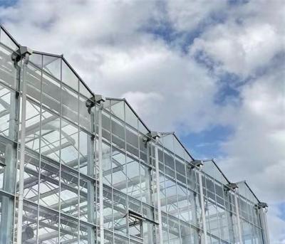 China Typ Roof Hydroponics Growing System Geschikt voor de vereisten van uw klant Te koop