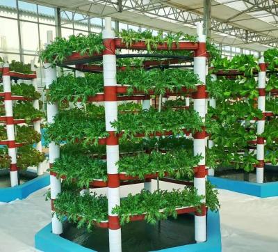 Cina Ambienti controllati per sementi/verdure/frutta/fiore Serra per sementi idroponica in vendita