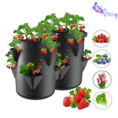 China Plant Amazon Strawberry Bag Gallon Planting Growth Plants Cultivation Pot Indoor & Outdoor Nonwoven Bag for sale