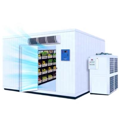 China Container Low Energy Consumption Cold Room Cold Room With Condensing Unit for sale