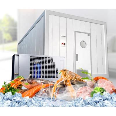 China Energy Saving Chinese Walk-in Cold Storage Room For Meat for sale